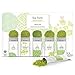 Tea Forte Organic Matcha Green Tea Sampler, Stone Ground Culinary Grade Green Tea Matcha