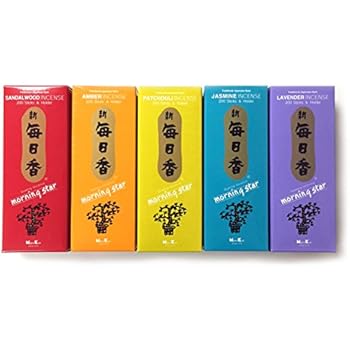 Amazon.com: Morning Star Nippon Kodo Incense - 5 SET of