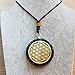 GEMSTORE369 Black Tourmaline Orgone Pendant | Flower of Life Symbol | EMF Protection | 2 inch Diameter with Adjustable Necklace | Reiki Infused (Black)