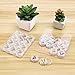 Biubee 3 Pack Clear Plastic Bead Diamond Embroidery Accessories Containers- 36 Pcs Storage Jars DIY Beads Organizer for Jewelry, Make Up Nail Art Tools and Small Parts Storage