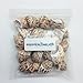 PEPPERLONELY 20PC Babylonia Spirata Hermit Crab Sea Shells, 1-1/4 Inch ~ 2-1/4 Inch