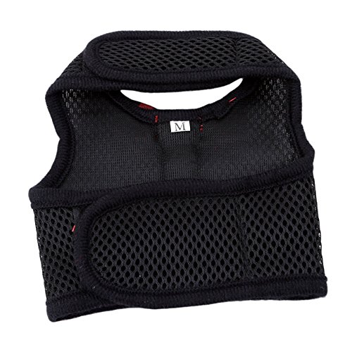 2 Harness+Stylish+Adjustable+Breathable+Walking