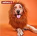 Petony Pet Costume Lion Mane Wig Hair for Dog Christmas Xmas Santa Halloween Clothes Festival Fancy Dress Up (NeckCircumference(27-29)Inch)