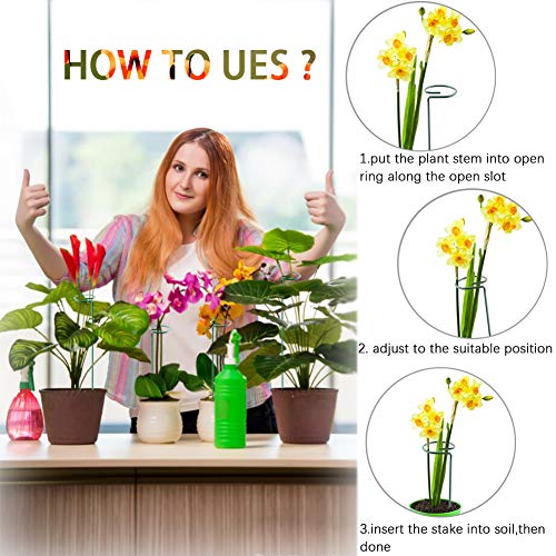 5 Pack Plant Support Stakes, Metal Single Stem Plant Support Stakes Garden Plant Cage Support Rings for Flowers Tomatoes Peony Lily Orchid Rose etc. (5Pcs Single Stem Plant Support)