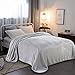 RISAR Flannel Luxury King Size Blanket Soft Warm Cozy Plush Throw Fuzzy Microplush Lightweight for Bed Sofa Couch 90 by 108 Inches, Gray