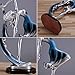 H&W Graceful Dance Movements, Beautiful Dancer Statue, Colorful, Best Gift for Girl, Home Decoration, Desk Ornament(HH8-D2)