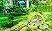Hoovy Bumble Bee Soft Inflatable Pool | Outdoor Swimming Toys for Infants & Toddlers | Blowup Games for Kids | Portable Beach Accessories for Girls & Boys | Small Kiddie Ring for Summer | Best Gifts