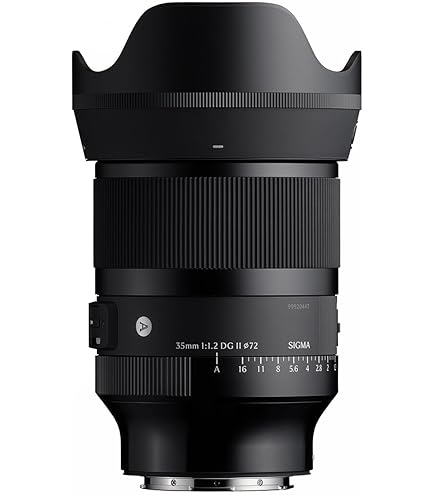 Amazon.com : Sigma 35mm F1.2 Art DG DN for L Mount : Electronics