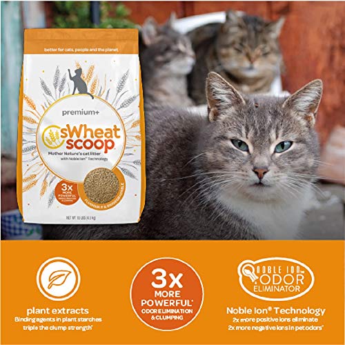 sWheat Scoop Premium+ Natural Clumping Wheat Cat Litter, 10lb (860713