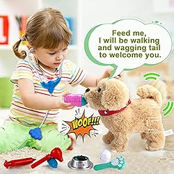 Koonie Walking Toy