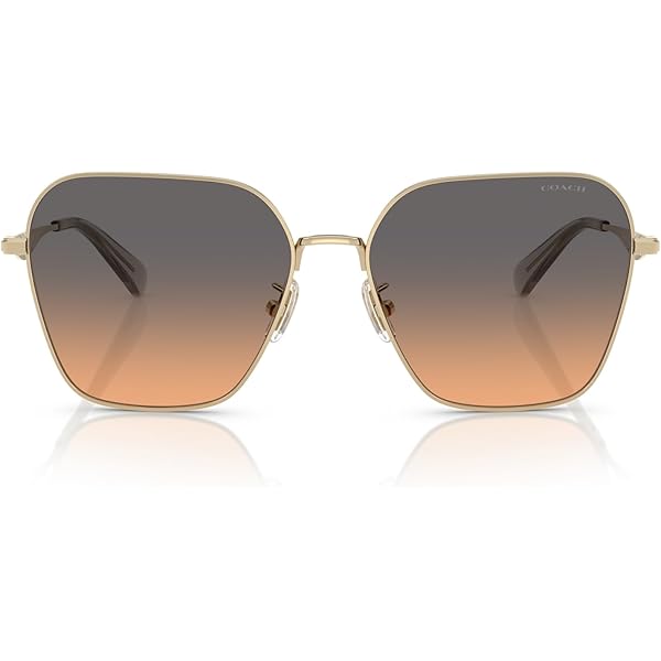 Amazon.com: COACH Sunglasses HC 7128 9331U8 C6178 Shiny Rose Gold