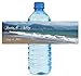 100 Beach Theme Wedding Water Bottle Labels Engagement Bridal 8