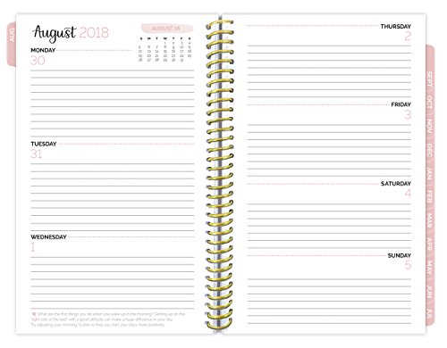 image for bloom daily planners 2018-2019 Academic Year Day Planner - Monthly and