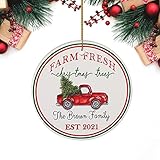 ZLP Christmas Ornaments Xmas Ornament Quarantine