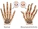 Orthopedic Arthritis Compression Gloves All Day Relief (2 Beige)