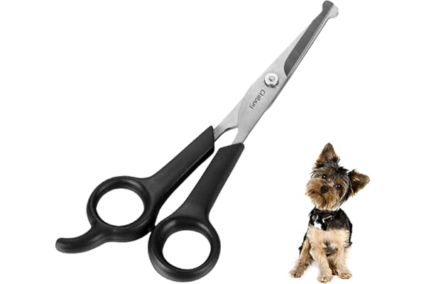 Professional Pet Grooming Scissor with Round Tip Stainless Steel Dog Eye Cutter for Dogs and Cats, Professional Grooming Tool