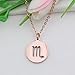 KUIYAI Zodiac Pendant Necklace Rose Gold Disc Horoscope Necklace Birthday Gift (Scorpio RG)