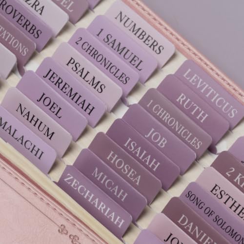 upafexxi Laminated Bible Tabs Book Summaries