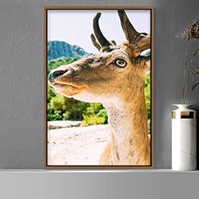 signwin Framed Canvas Wall Art Deer Animals Deer...