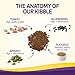 Wellness Complete Health Dry Dog Food, Small Breed, Grain Free, Natural, Turkey, Chicken, & Salmon Recipe (11-Pound Bag)