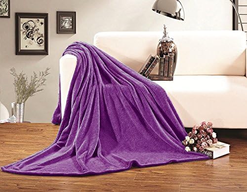 Coral Plush Blanket Fleece Throw: Soft, 50" x 60", Bright Collection, Non Piling (Purple)