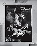 EXTERMINATING ANGEL / BD                           image