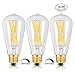 Edison Light Bulbs 100 watts,15W Dimmable Led Bulbs, 2700K Warm White 1300LM E26 Medium Base, ST21(ST64) Edison LED Filament Bulbs, 360 Degrees Beam Angle, Pack of 3