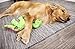 goDog Dinos Bruto with Chew Guard Technology Durable Plush Dog Toy, Large, Green