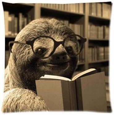 Christams Jewelry Gifts VintaStore Funny Sloth Reading Books Home Decorative Throw Pillow Covers Zippered Square Twin Sides Printing Pillowslip Pillow Protector 18inch