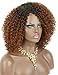 Kalyss Ombre brown Short Afro Kinky Curly Wigs for Black Women Side Curved Part Natural Looking Big,Bouncy and Super Soft Premium Synthetic Afro Curls Wigs for Women