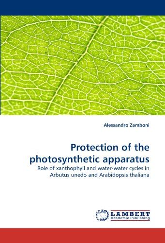 Protection of the photosynthetic apparatus: Role of xanthophyll and water-water cycles in Arbutus unedo and Arabidopsis thaliana