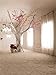 LFEEY Vinyl Thin Backdrop 3x5ft Photography Background Modern Theme Indoor Room Decor Scene for Wedding Portraits Backdrop,1(W)x1.5(H)m for Photo Studio Props