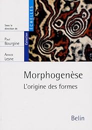 Morphogénèse