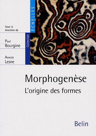 Morphogénèse