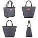 BALORAY Lunch Bag for Women Lunch Tote Bag Insulated Lunch Bags Lunch Tote Bag Snacks Organizer for Women Men Adults Work Picnic Hiking Beach Fishing (G-199L Grey)