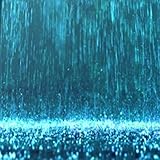 Rain Birds