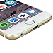 iPhone 6 Screen Protector (Apple iPhone 6S 4.7
