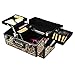 Docooler Lockable Cosmetic Organizer, Box Foldable Makeup Train Storage Case Holder, 2 Layers