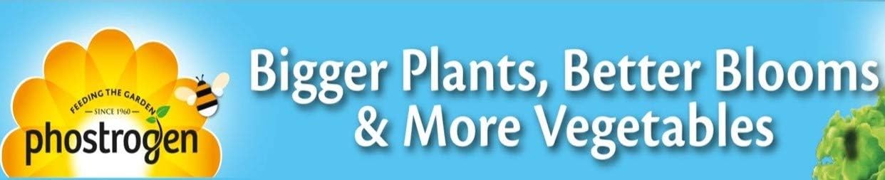 Phostrogen All Purpose Plant Food, 800g, Plant and Edibles Fertiliser Feed, for Promoting Healthy Growth - Image 5