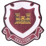 What is the army corps of engineers image