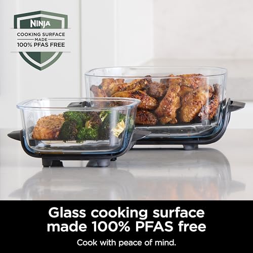 Freidora de aire de vidrio portátil Ninja Crispi 5 en 1, recipientes de vidrio de 4 cuartos, 2.5 cuartos y 6 tazas con platos para verduras y tapas de almacenamiento, apto para microondas, congelador y lavavajillas, verde British Racing, FN103BF Freidora de aire de vidrio portátil Ninja Crispi 5 en 1, recipientes de vidrio de 4 cuartos, 2.5 cuartos y 6 tazas con platos para verduras y tapas de almacenamiento, apto para microondas, congelador y lavavajillas, verde British Racing, FN103BF