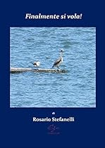 Philosophy and Design: From Engineering to Architecture