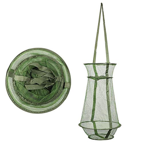 Top 10 Fish Baskets For Fishing of 2020 No Place Called Home