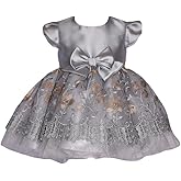 Bonnie Jean Baby Girl's Special Occasion Party Dress - for Baby, Toddler and Little Girls, Silver, 2T