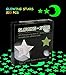 Glowing in the Dark Stars Wall Stickers - Glowing Reusable Ceiling Decors of 220 Stars and 1 Moon Set for Kids Bedding Rooms or Birthday Party