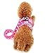 SELMAI Puppy Small Dog/Cat Dots Vest Harness Leash Set Mesh Padded No Pull Lead