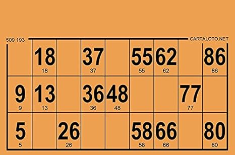 Jeux De Societe 500 Cartons Feuille Loto Bingo Orange Jeux Et Jouets Groupisd Com