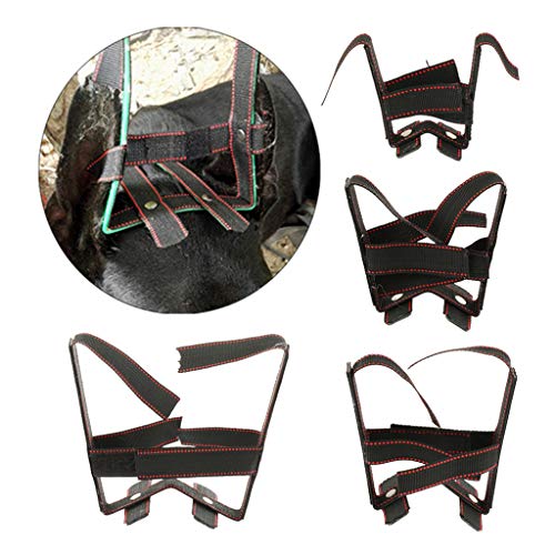 Flameer Durable Dog Ear Care Tool Ear Stand Up for Doberman Pinscher, Samoyed, Great Dane and So on - Plastics & Nylon Material S-XL to Choose - S - Thumbnail 3