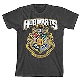 Harry Potter Hogwarts Distressed Boys Youth T-shirt Licensed (Small)