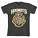 Harry Potter Hogwarts Distressed Boys Youth T-shirt Licensed (Small), Grey